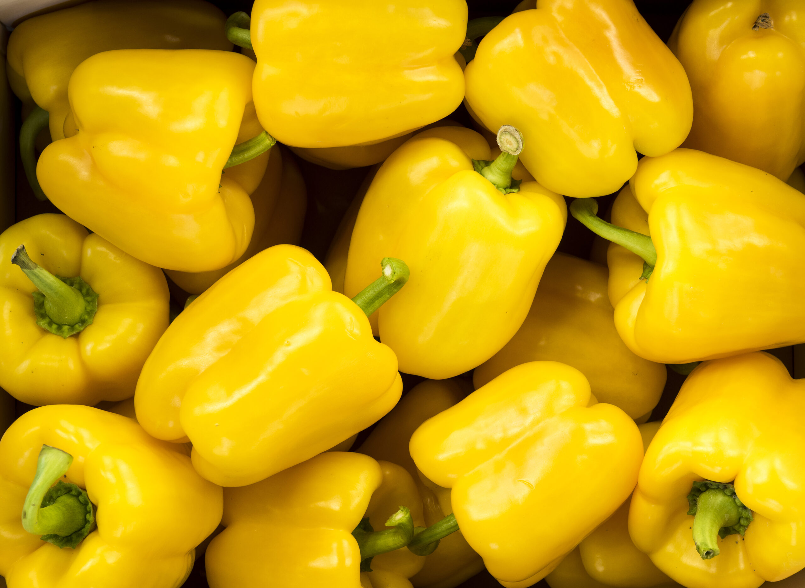 Grippeschutzimpfung Markt für frische Lebensmittel in der Gastronomie